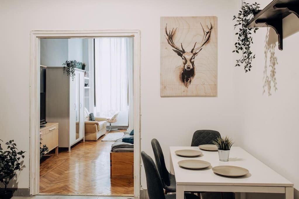 Big Apartment In The City Centre Будапеща Екстериор снимка