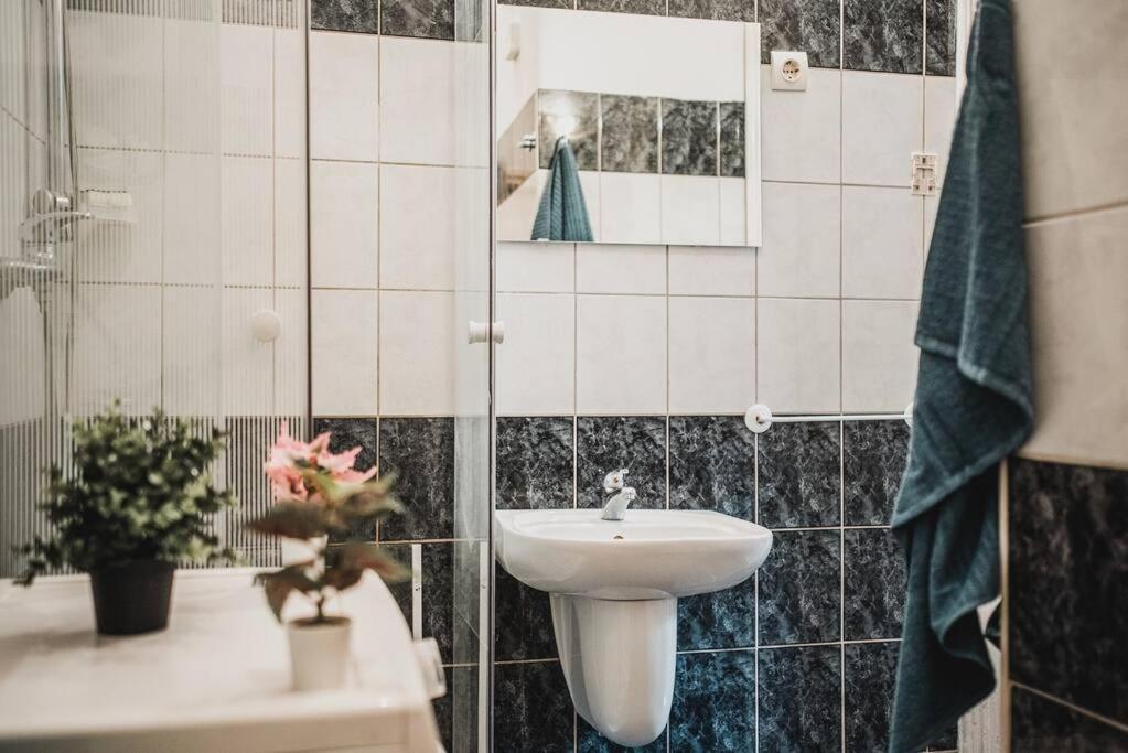 Big Apartment In The City Centre Будапеща Екстериор снимка