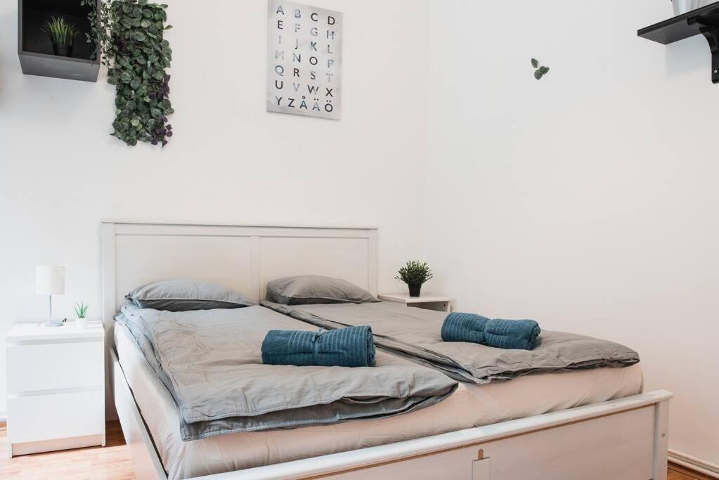 Big Apartment In The City Centre Будапеща Екстериор снимка