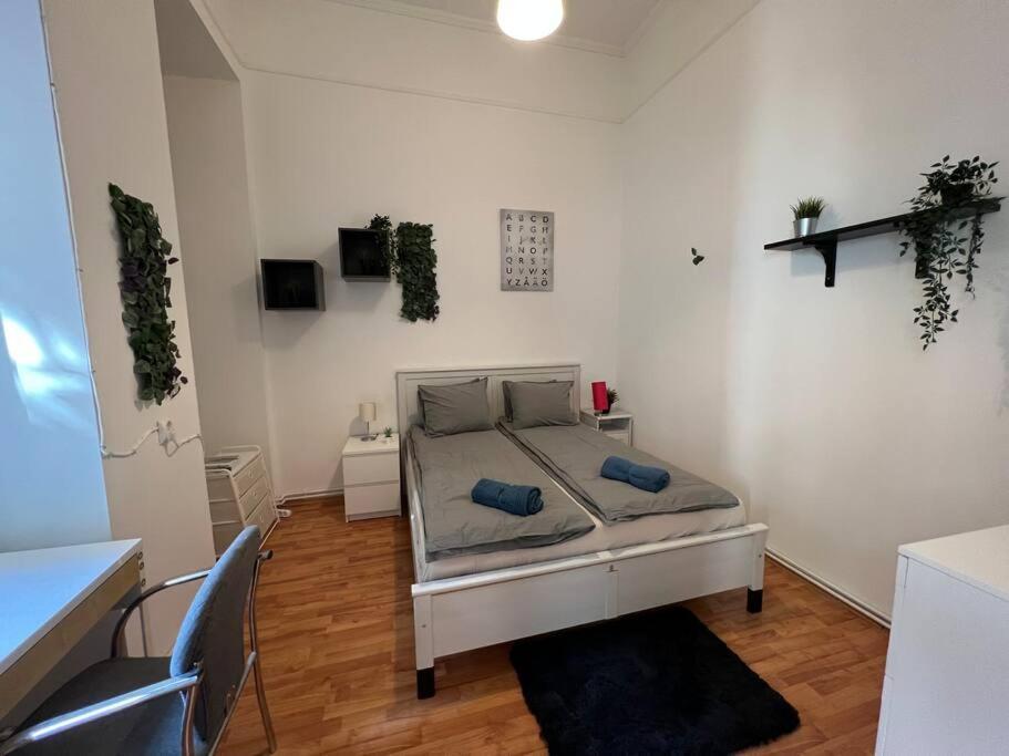 Big Apartment In The City Centre Будапеща Екстериор снимка