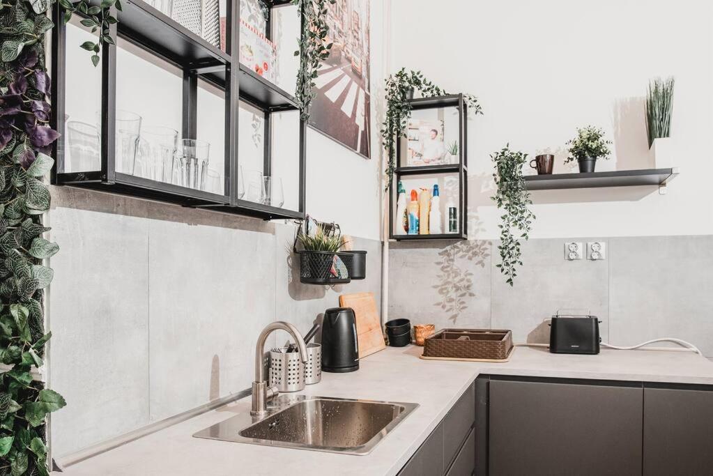 Big Apartment In The City Centre Будапеща Екстериор снимка