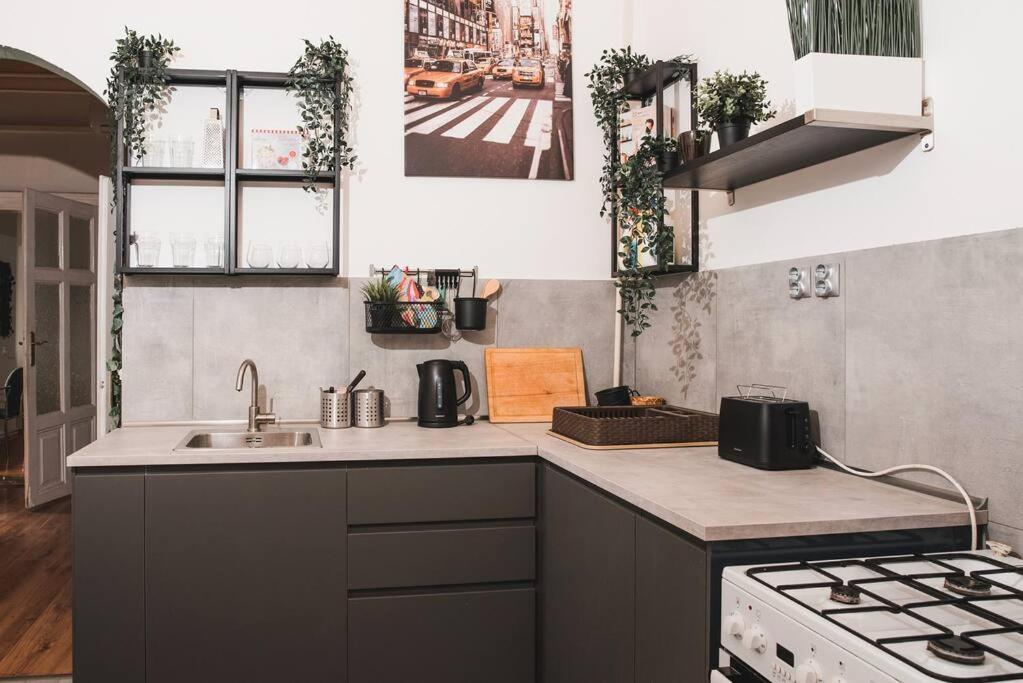 Big Apartment In The City Centre Будапеща Екстериор снимка